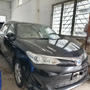 Toyota Corolla Fielder 2019 Black
