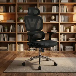 Ergonomic Orthopedic Seat