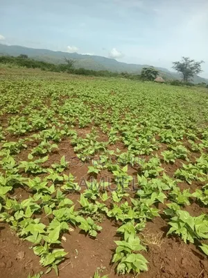 1acre Piece of Land at Kahuhu Rumuruti