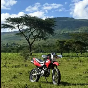 Honda 2011 Red