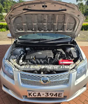 Toyota Axio 2009
