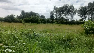 Kiambu Road