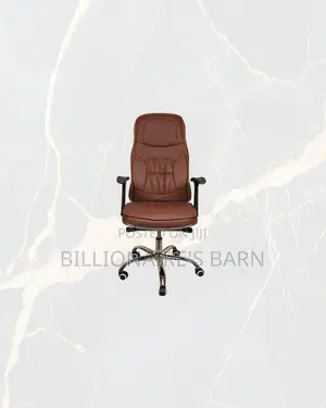 Ergonomic Executive Chair High Back Padded Armrest Now in Stock