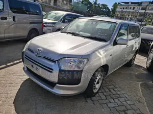 Toyota Probox 2019 Gray
