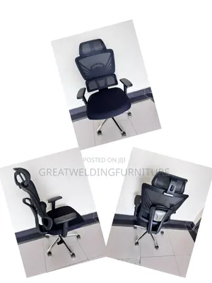 Generic Orthopedic Office Chair