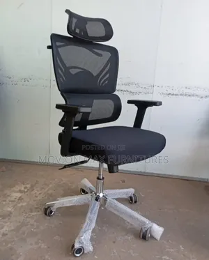 Back Court Hanger Orthopaedic Executive Chair