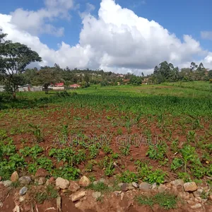 1/4 Plot at Plainsview Estates Gikambura on Sale