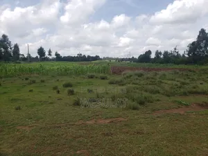 Land for Sale in Leshau Pondo Laikipia County