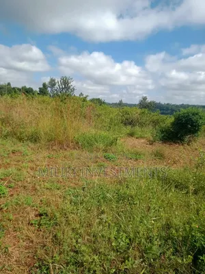 3.25 Acres on Sale at Maragua
