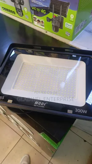 300watts Electric Security Light