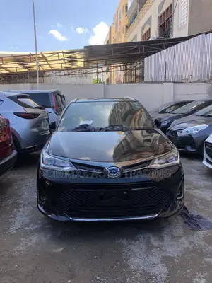 Toyota Corolla Fielder 2019 Black