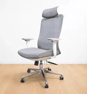Office Chair : Gray Orthopedic Executive Office Chair