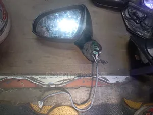 Fielder/ Axio 165 Sidemirror