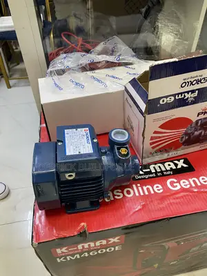 Davis and Shirtliff Pedrollo 0.5hp Water Pump