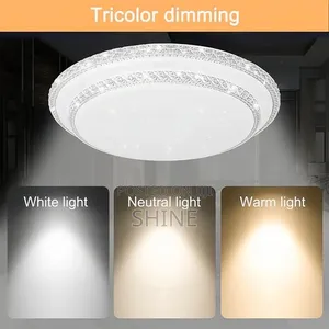 Modern Double Round Ceiling Light