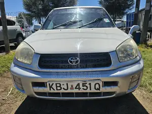 Toyota RAV4 2005 Silver