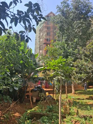 Thindigua Kiambu Road Prime Commercial 97x 163 Corner Plot