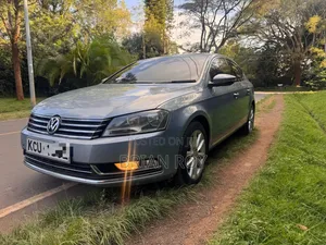 Volkswagen Passat S 2013 Blue