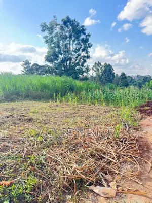 Commercial Land for Lease Along Kirawa Road Off Peponi Road