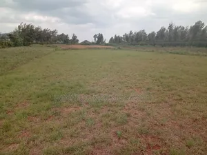3acres for Sale Kibiko Ngong. 5km From Ngong Town.