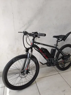 Electric Bike