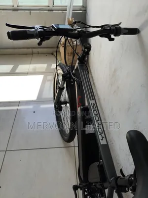 Electric Bike