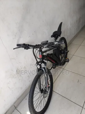 Electric Bike