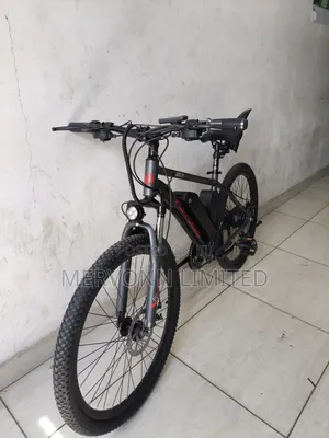 Electric Bike