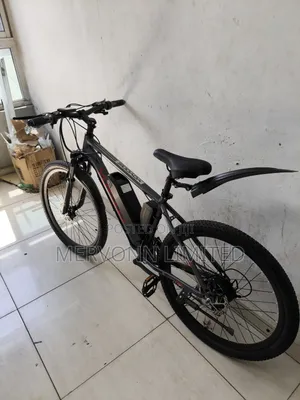 Electric Bike
