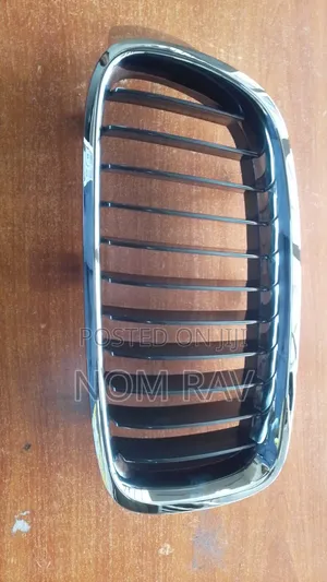 BMW Kidney Grille