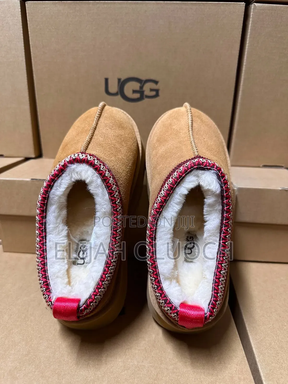 Ugg Tazz Ii Size 36-45 (Boxed)