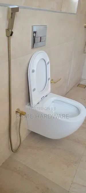 Concealed Toilet and Cistern