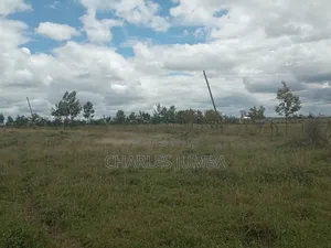 1 Acre Plot