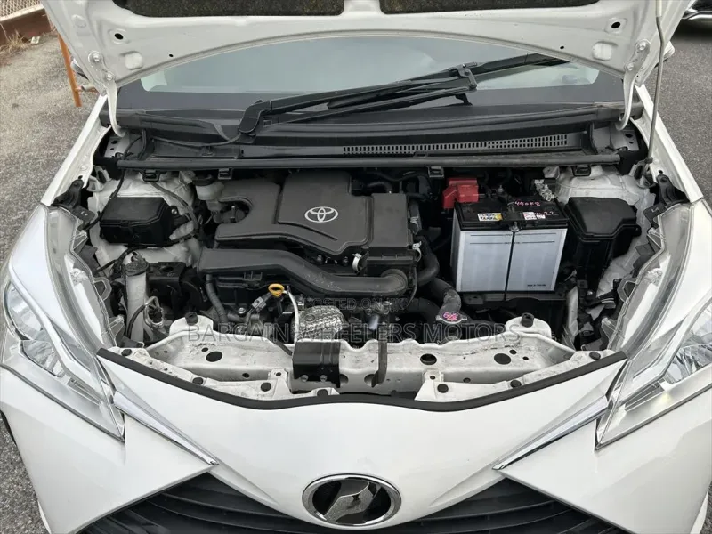 Toyota Vitz 2019 Pearl