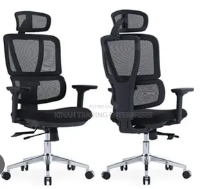 Flexon Ergonomic / Orthopaedic Office Chair