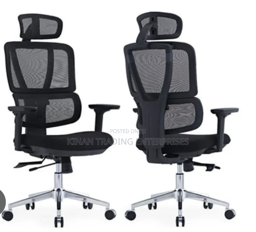 Flexon Ergonomic / Orthopaedic Office Chair