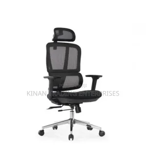 Flexon Ergonomic / Orthopaedic Office Chair