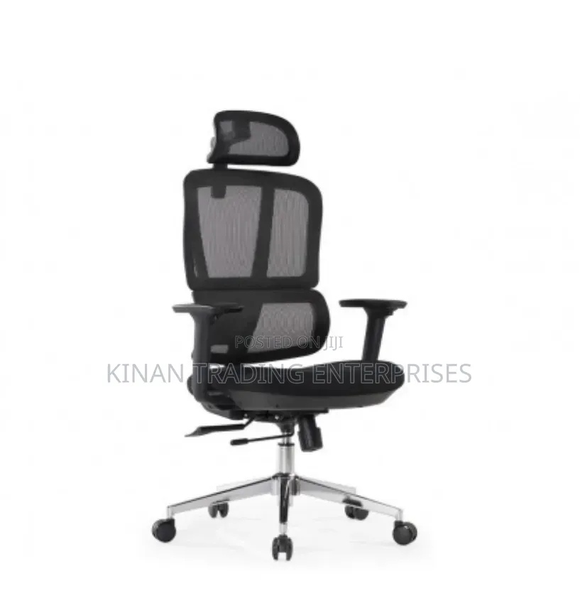 Flexon Ergonomic / Orthopaedic Office Chair