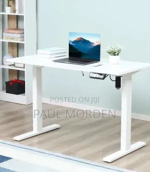 Modern Electric Adjustable Desk