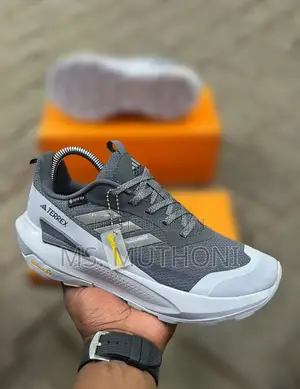 Adidas Terrex Hiking Shoes Featuring Gore-Tex Waterproofing.