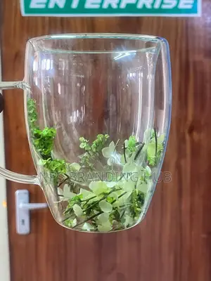 High Borocillicate Double-wall Glass Mug 350ml (Stda