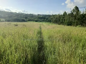 Prime Half Acre Land for Sale Near Oletepes Winners Academy, Kiserian