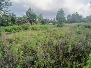 Prime 50 by 100 Plot for Sale in Olkeri, Ngong