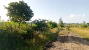Land on Sale Kwale Count Kundutsi 6 Acres Per Acre