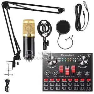 V8sk Full Set Condenser Microphone With Live Sound Card