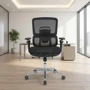 Orthopedic Mesh Ergonomic Seat