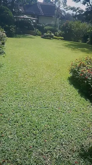 Garden Care Services