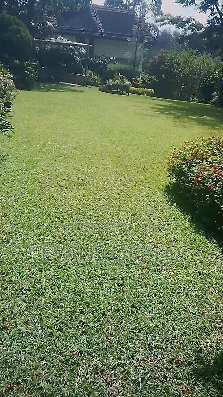 Garden Care Services