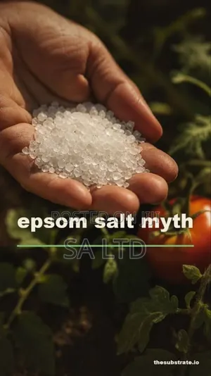 Epsom Salt
