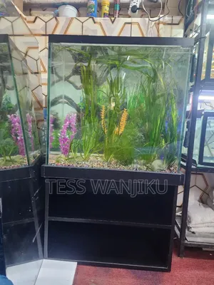 Aquarium Tank
